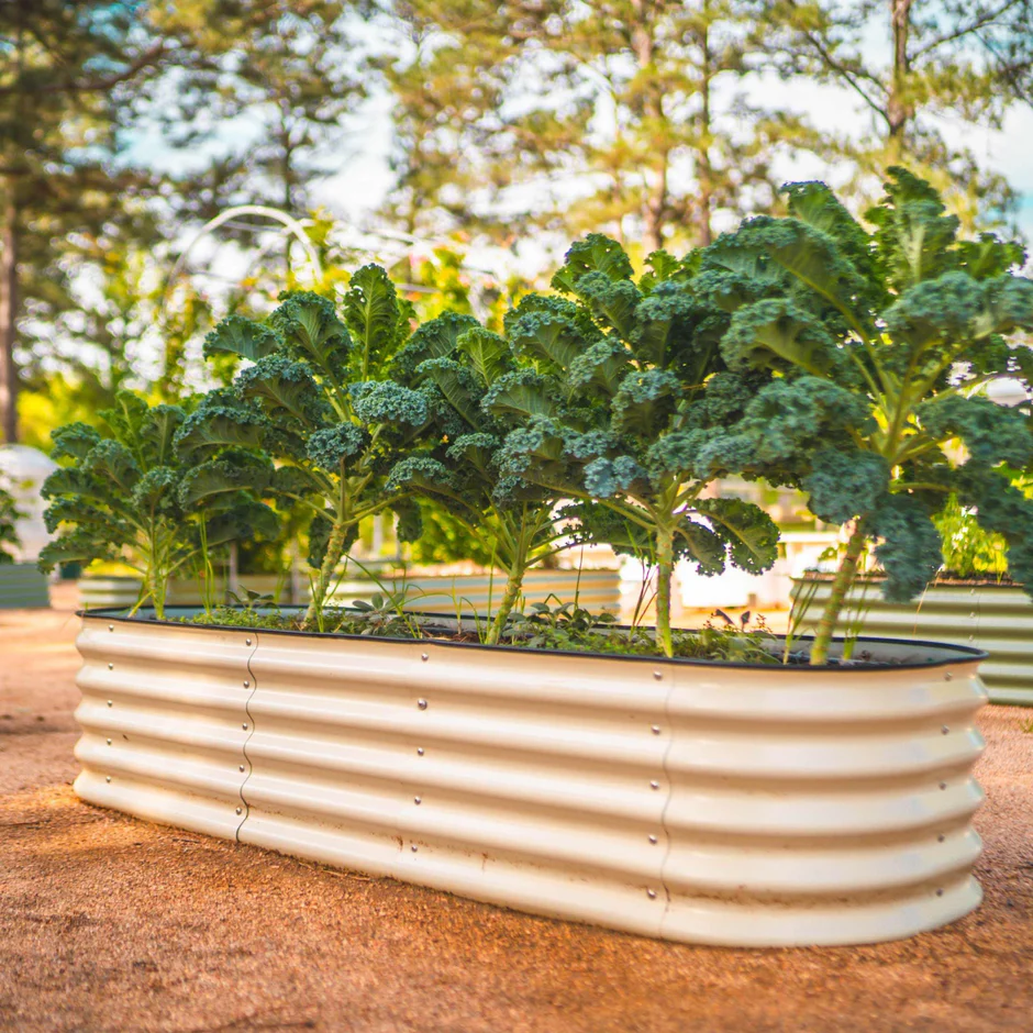 Grow Your Dream Garden with TeamGrow.us