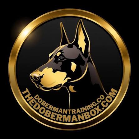 The Doberman Box