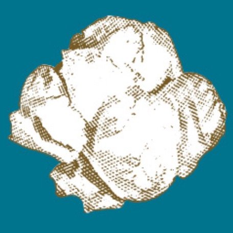 Franklin’s Gourmet Popcorn