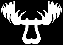 Forward Notion, LLC