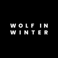 Wolf In Winter