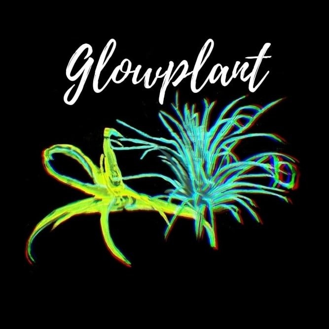 Glow Plant Inc.